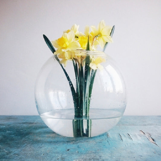 NEØV - Soft Atlas (black LP)