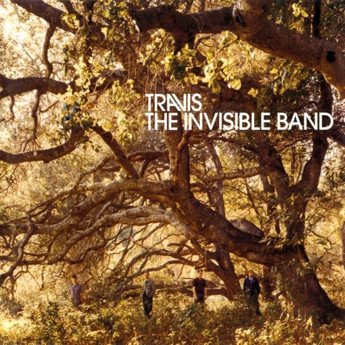 Travis - The Invisible Band (forest green LP)