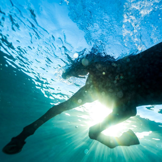 Dream Nails - You Wish (blue LP) - VÖ: 13.02.26