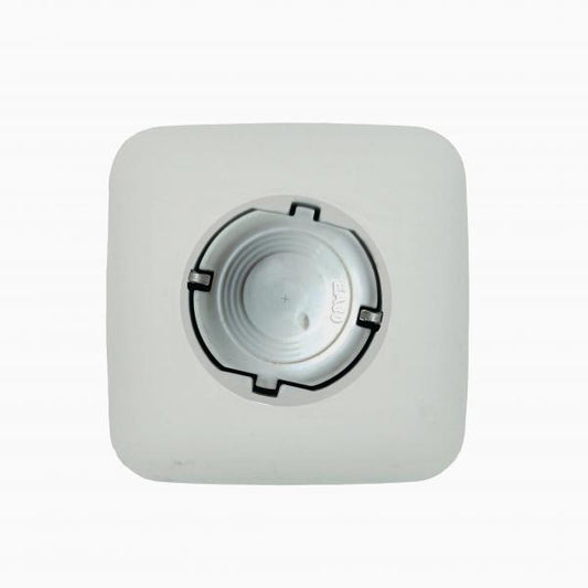 EA 80 - Stecker (white LP)