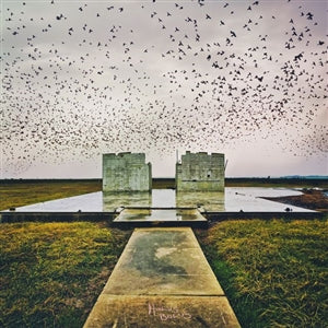 Lord Buffalo - Molus Bolus (ice & aqua blue galaxy marble LP)