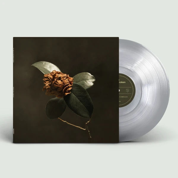St. Paul & The Broken Bones - Young Sick Camellia (ultra clear LP)