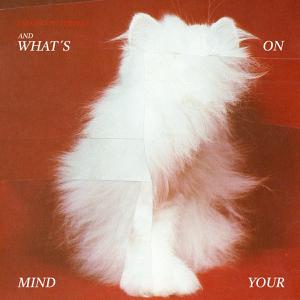 Talking To Turtles - What's On Your Mind (LP)