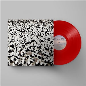 Stella Donnelly - Flood (ltd. red LP)