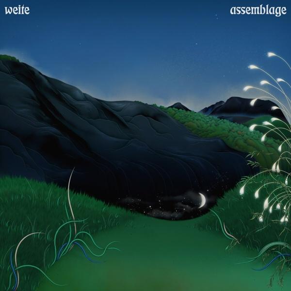 Weite - Assemblage (black LP)