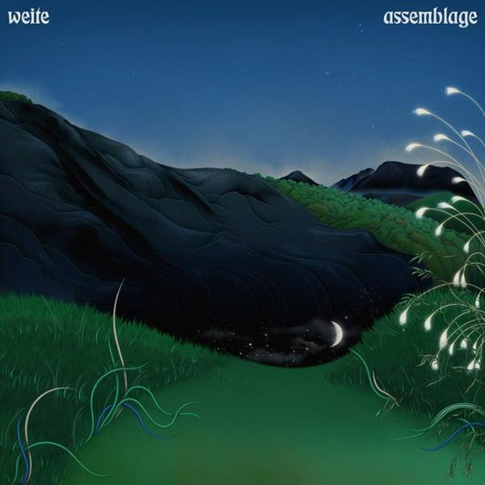 Weite - Assemblage (black LP)