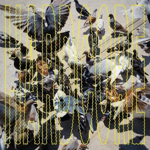 SALÓ - Hardcore (ltd. clear LP) - VÖ: 10.04.2026