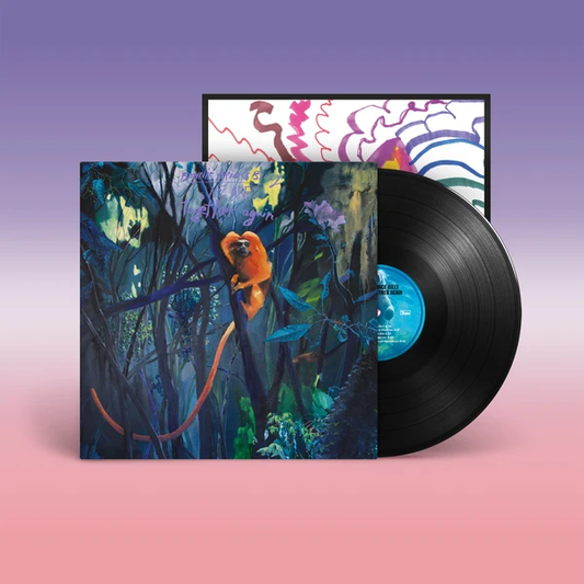 Bonnie Prince Billy - We Are Together Again (black LP) - VÖ: 06.03.26