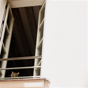 M(H)AOL - Something Soft (LP)