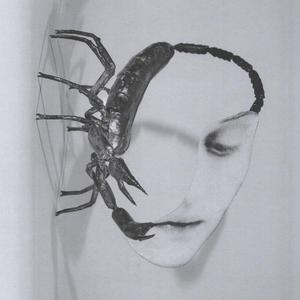 Tortoise - Touch (black LP) - VÖ: 24.10.25