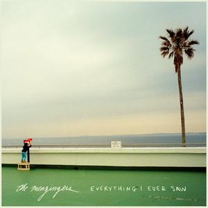 Menzingers - Everything I Ever Saw (black LP) - VÖ: 17.07.26