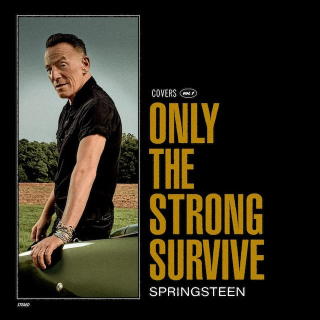 Bruce Springsteen - Only The Strong Survive (CD)
