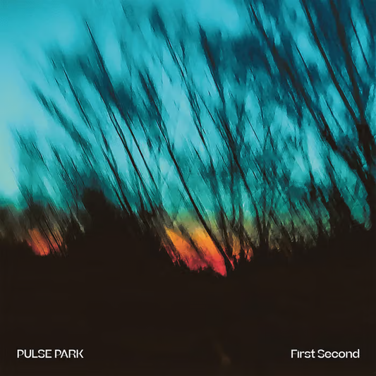 Pulse Park - First Second (black LP)