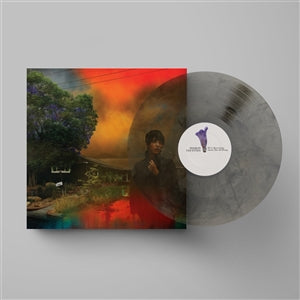 Sharon van Etten - We've Been Going About This All Wrong (ltd. col. LP)