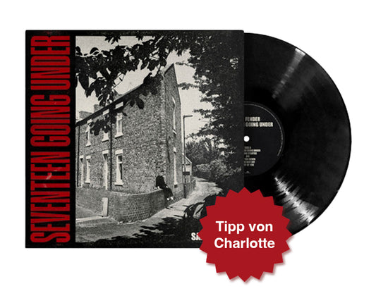 Sam Fender - Seventeen Going Under (black LP)
